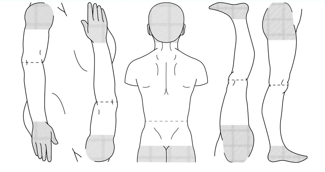 Esquema de correspondências tradicionais entre braços, pernas e tronco.